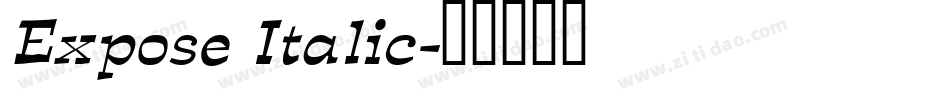 Expose Italic字体转换